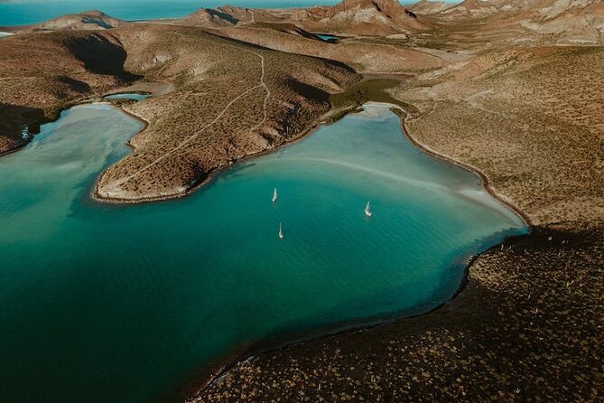Espiritu Santo Island Tour - Guides can shape the whole day