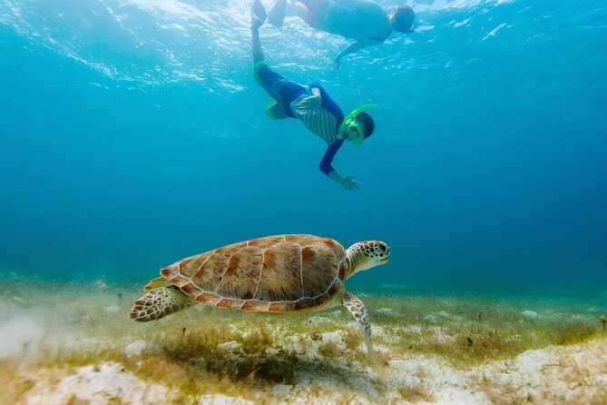 Exclusive Private Boat to El Cielo - Colombia Deep Reef, another 20-minute water stop