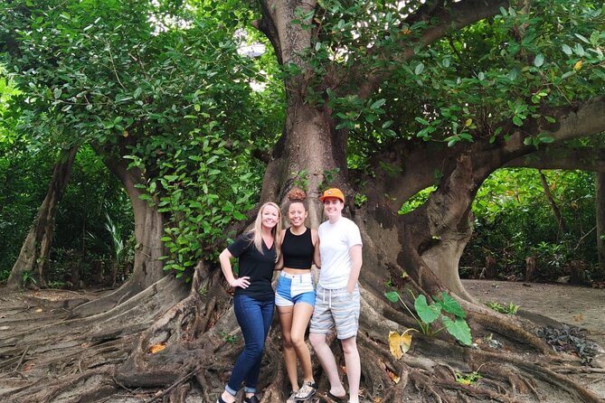 Experience Cancun's Hidden Gems, Mayan museum, cenote & Market 23 - Neen Ha cenote at El Pedregal