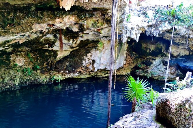 Experience Cancun's Hidden Gems, Mayan museum, cenote & Market 23 - Who should book this Cancun day?