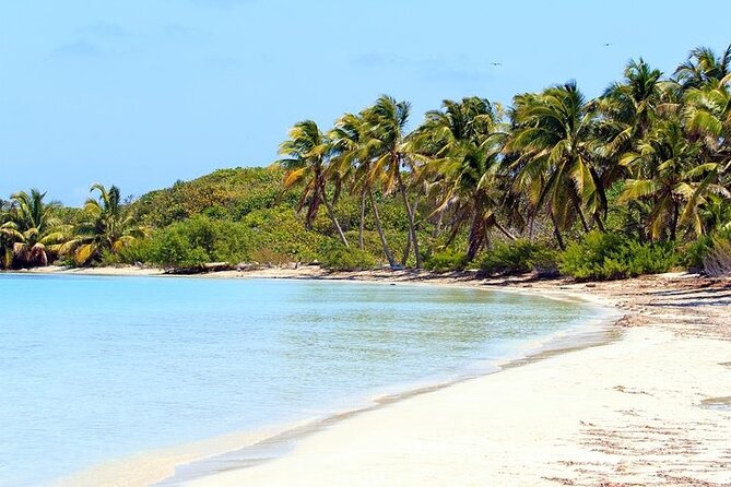 Explore Contoy Island - The boat ride from Cancun and what to expect