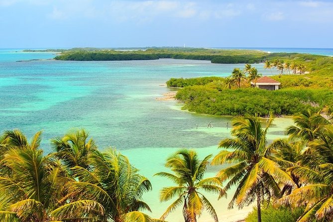 Explore Contoy Island - Lunch, drinks, and what the $169 price covers