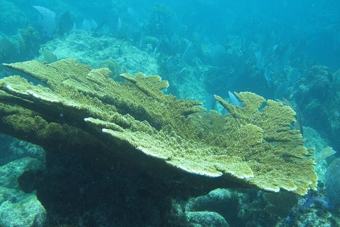 Explore Contoy Island - Guides and service: the human part of the day