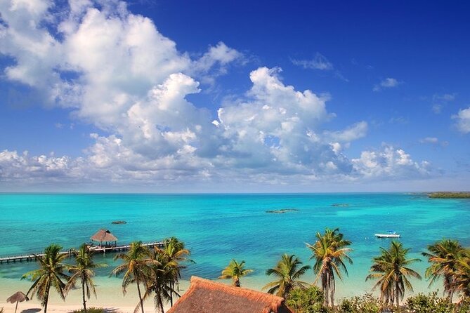 Explore Contoy Island - Who will enjoy this outing most