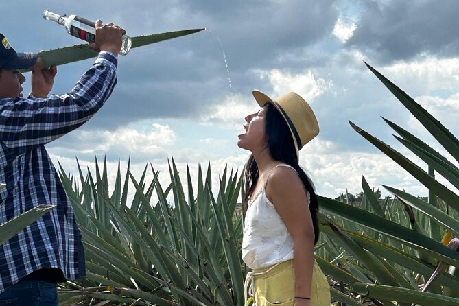 Explore Hierve el Agua, Mitla, Tule, Textile and Mezcal for a day - Is $75.12 good value?