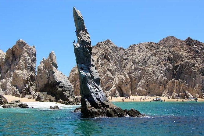 Explore Los Cabos City Tour, Glass-Bottom Boat Ride, Lunch and Shopping! - Pickup times and the pace of the day
