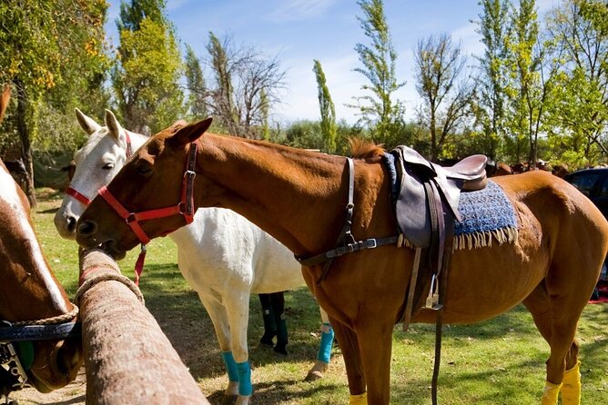 Extreme Horses Adventure with ATV, Ziplines & Cenote - Guides make a real difference