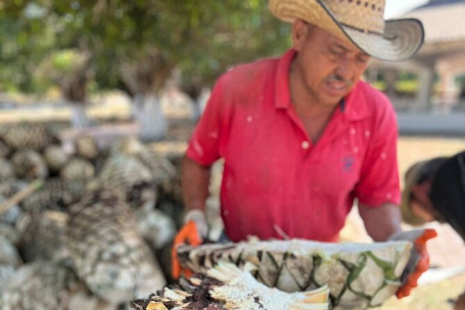 Finca 18 Puerto Vallarta Tequila Tour + Chocolate Pairing - A ranch visit instead of a city tasting room