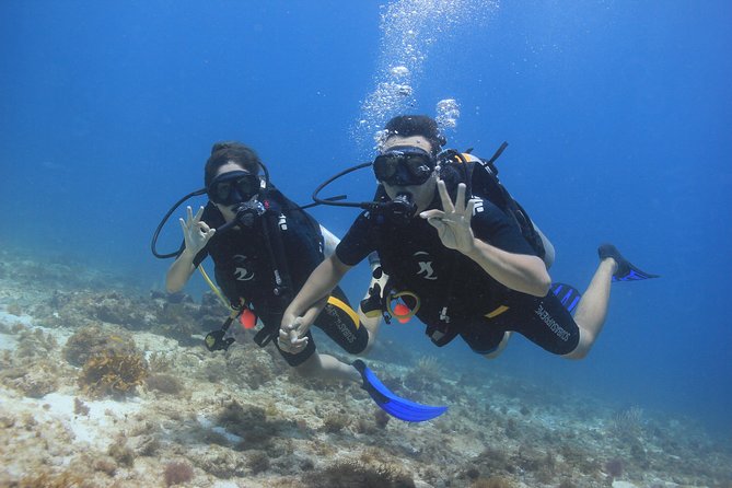 For certified Divers Experience the Under Water Museum and the Manchones Reef - What is included in the $109 price
