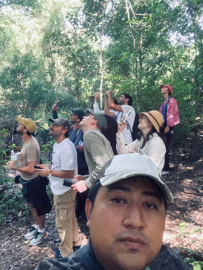 From Bacalar: Calakmul Ruins Expedition & Jungle Trek - A short jungle walk with a real purpose