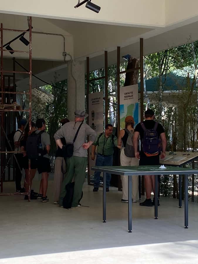 From Bacalar: Calakmul Ruins Expedition & Jungle Trek - The archaeological site is the main event