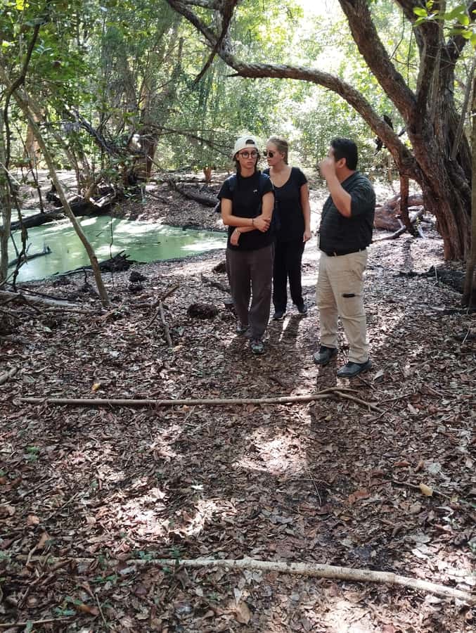 From Bacalar: Calakmul Ruins Expedition & Jungle Trek - Guides make the difference
