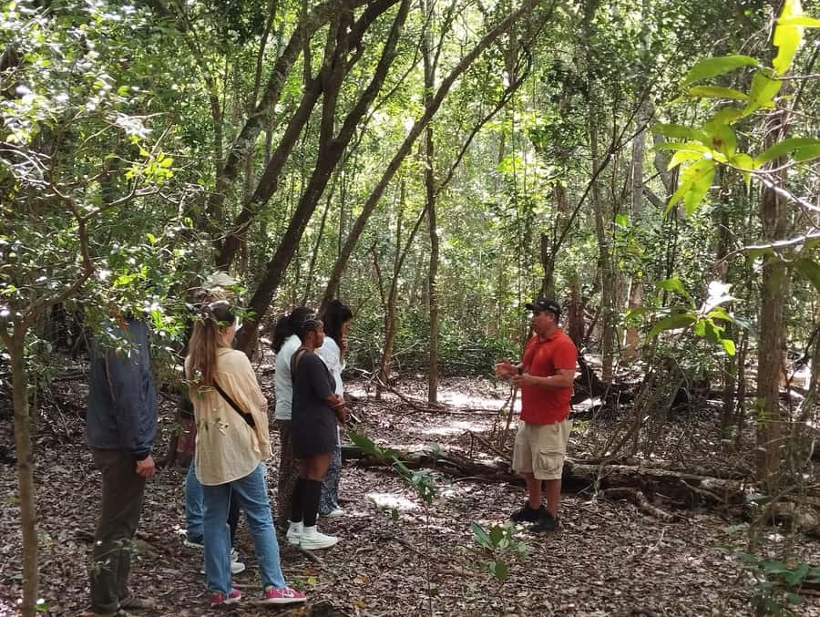 From Bacalar: Calakmul Ruins Expedition & Jungle Trek - Heat, clothing, and physical demands