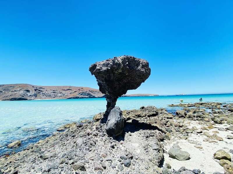 From Cabo/San José del Cabo: La Paz, Balandra & Todos Santos - The return ride is part of the bargain