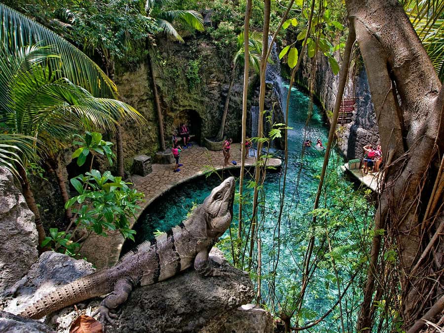 From Cancun: Complete Combo to Xcaret Park! - Your first hours: water, shade, and natural pools