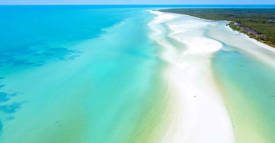 From Cancun or Puerto Morelos: Holbox Boat Tour with Lunch - Yalahau Lagoon gives the day its freshwater stop