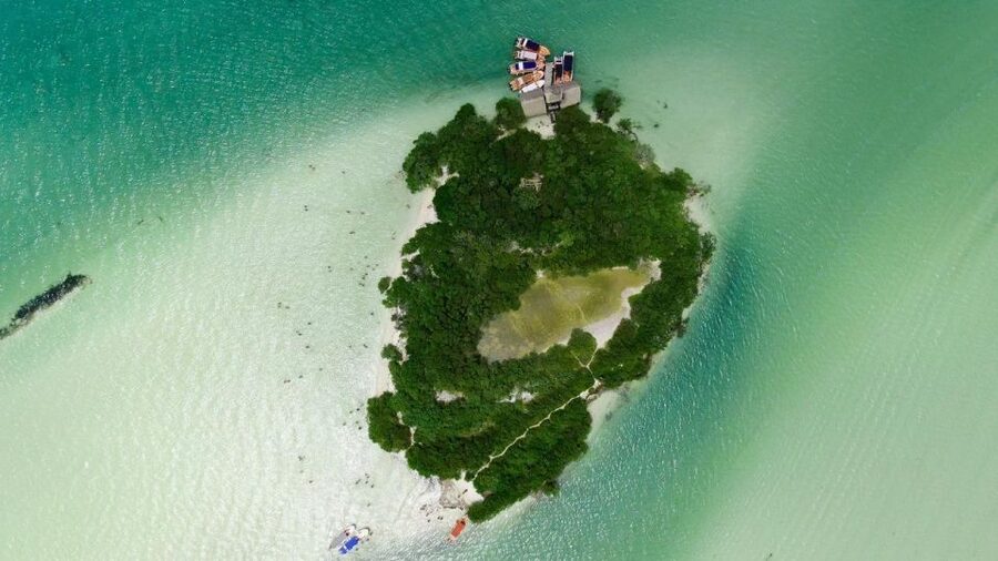 From Cancun or Puerto Morelos: Holbox Boat Tour with Lunch - Two hours in Holbox town