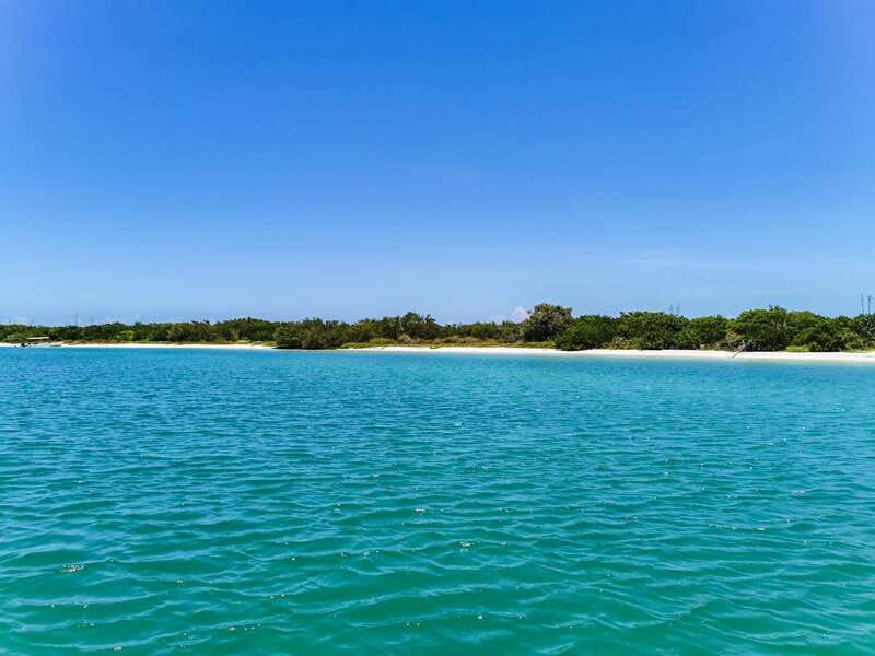 From Cancún: Rio Lagartos & Las Coloradas Day Trip & Lunch - Key points to know before booking