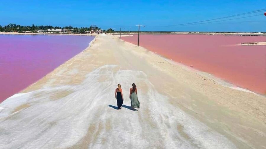 From Cancún: Rio Lagartos & Las Coloradas Day Trip & Lunch - Las Coloradas and the science behind the pink water