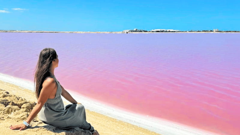From Cancún: Rio Lagartos & Las Coloradas Day Trip & Lunch - Lunch in the reserve area