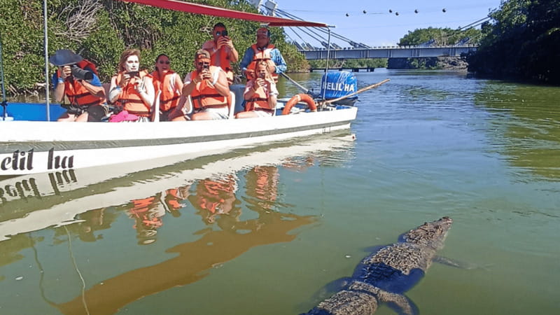 From Cancún: Rio Lagartos & Las Coloradas Day Trip & Lunch - Is the $104 price good value?