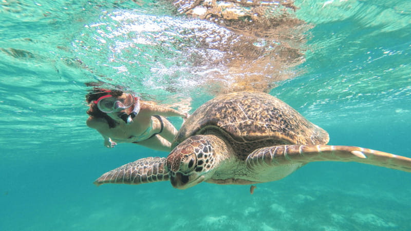 From Cancun: Tulum and Akumal Cenote and Turtle Swim Tour - Final call on the Tulum, cenote, and turtle swim tour