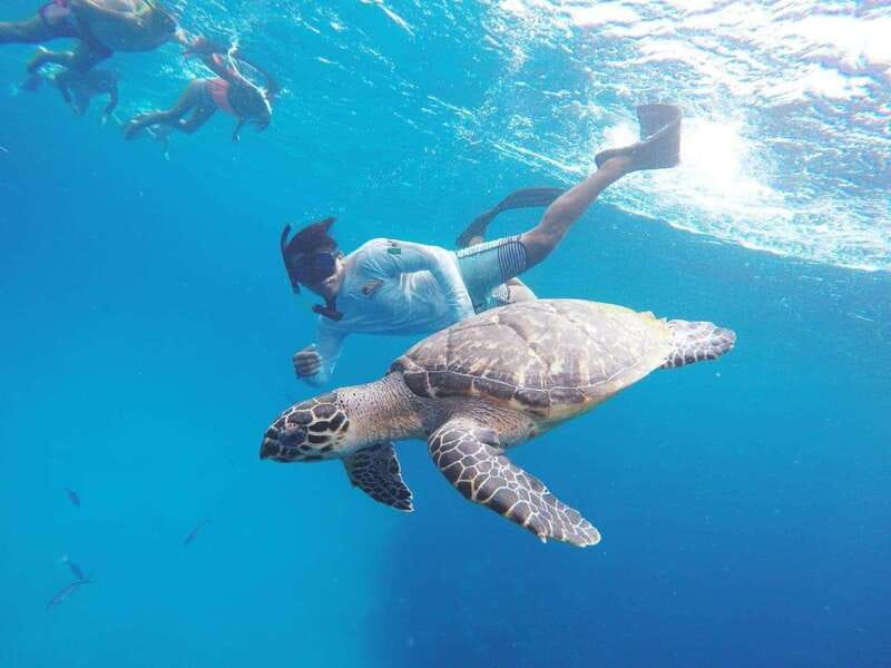 From Cozumel: 3 Reefs Boat Tour with Drinks and Snorkeling - Quick points before you book