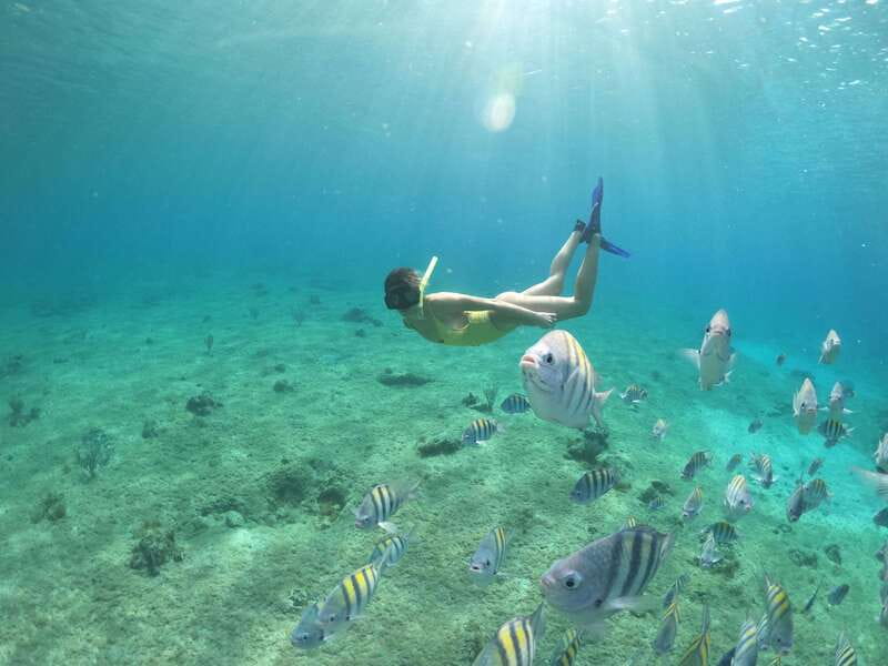 From Cozumel: 3 Reefs Boat Tour with Drinks and Snorkeling - Who will enjoy this Cozumel outing most