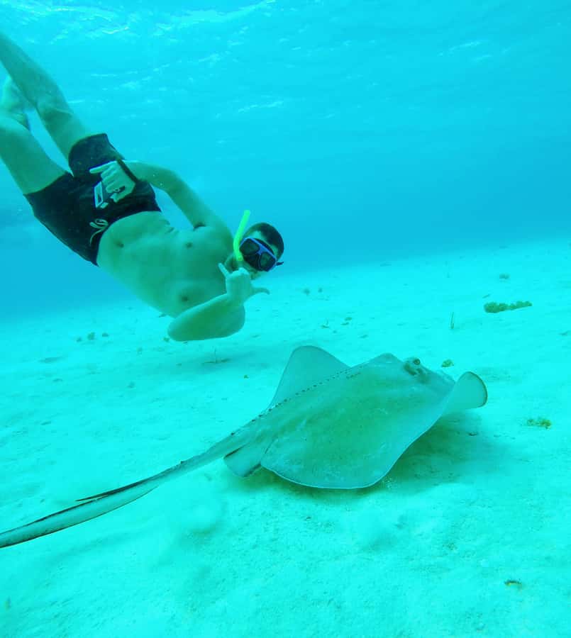 From Cozumel: Starfish, Stingrays and the Turtle Sanctuary - Why El Cielo makes this tour worth considering