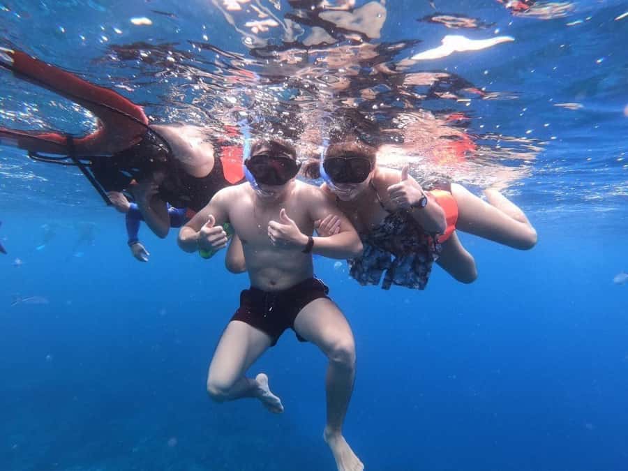 From Cozumel: Starfish, Stingrays and the Turtle Sanctuary - Safety and comfort for first-time snorkelers