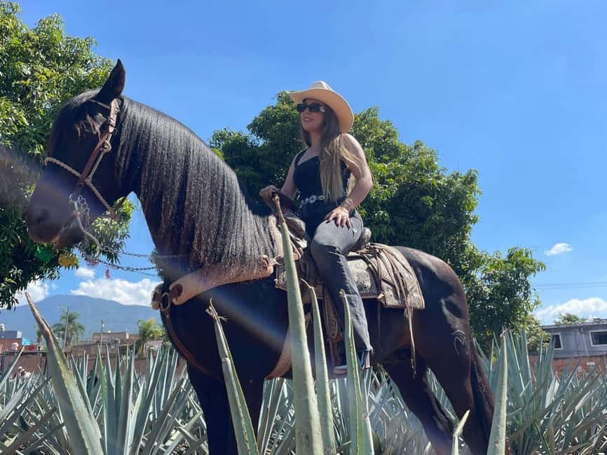 From Guadalajara: Tequila Town and Cantaritos El Guero - From Guadalajara to the blue-agave fields