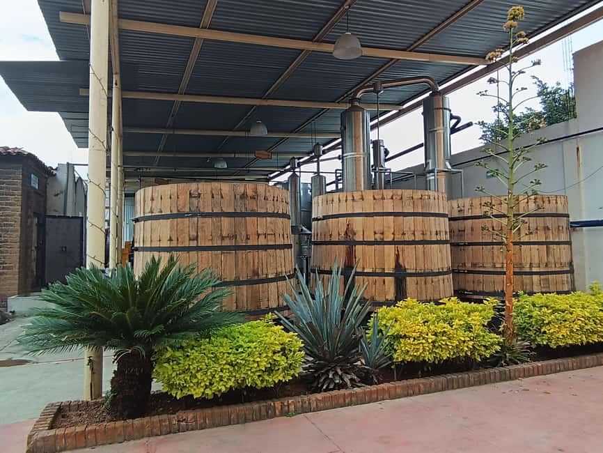 From Guadalajara: Tequila Town and Cantaritos El Guero - What $42 buys you