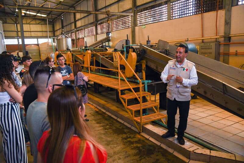 From Guadalajara: Tequila Trail Tour with Tasting - Seeing tequila made in Amatitán