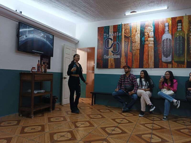 From Guadalajara to Chapala Lake: Funny and cultural tour - Is $35 good value?