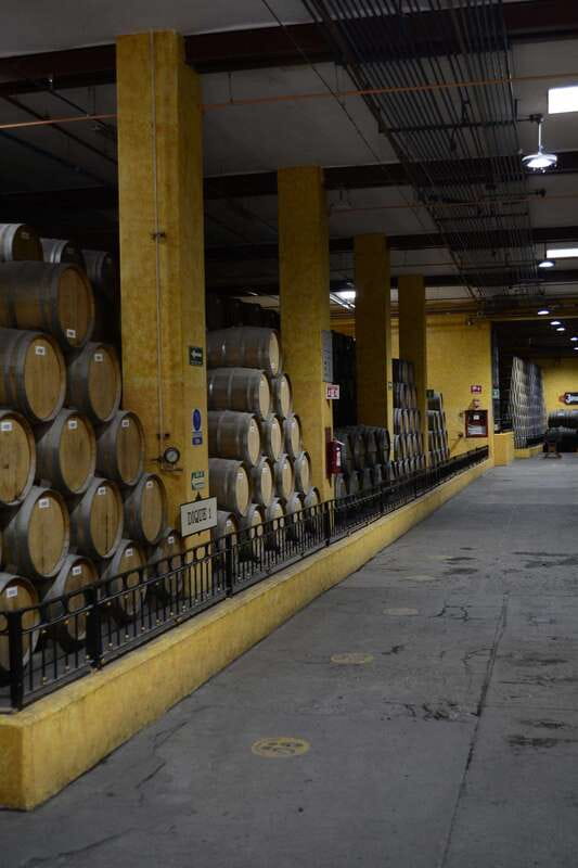 From Guadalajara: Town of Tequila & Jose Cuervo Factory Tour - FAQ