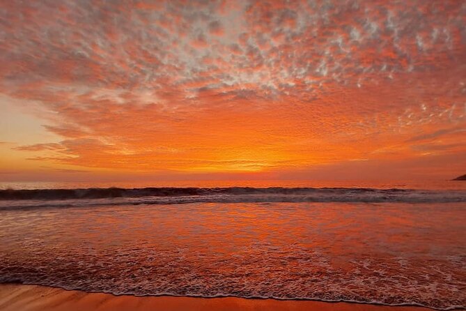 From Huatulco: Turtle Release & Bioluminescence - Laguna Manialtepec after dark