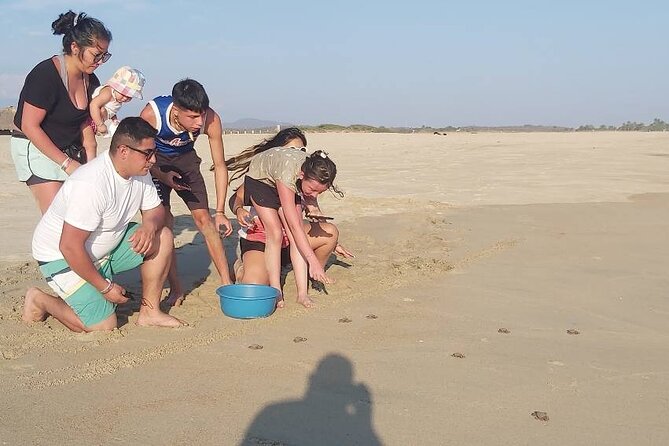 From Huatulco: Turtle Release & Bioluminescence - The long drive from Huatulco