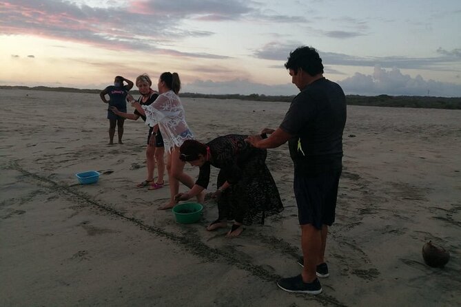 From Huatulco: Turtle Release & Bioluminescence - Who will enjoy this experience most