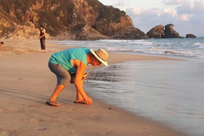 From Huatulco: Turtle Release & Bioluminescence - Practical details that make the day easier
