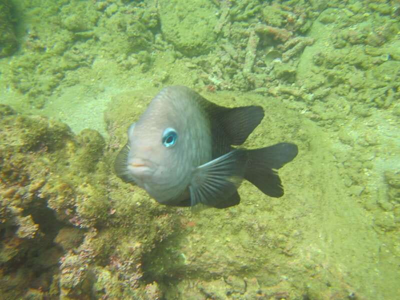 From La Crucecita: Private Huatulco 7 or 5 Bays Boat Trip - Beach time, Maguey, and the lunch question