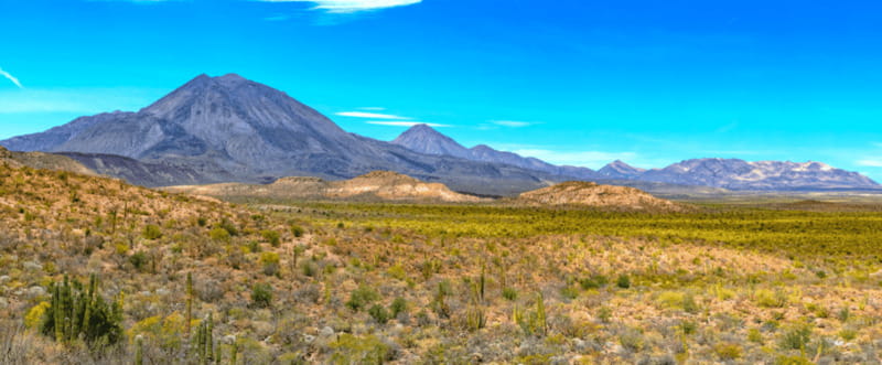 From Los Cabos: City Tour La Paz, Balandra and Todos Santos - Balandra Beach: the day’s main event