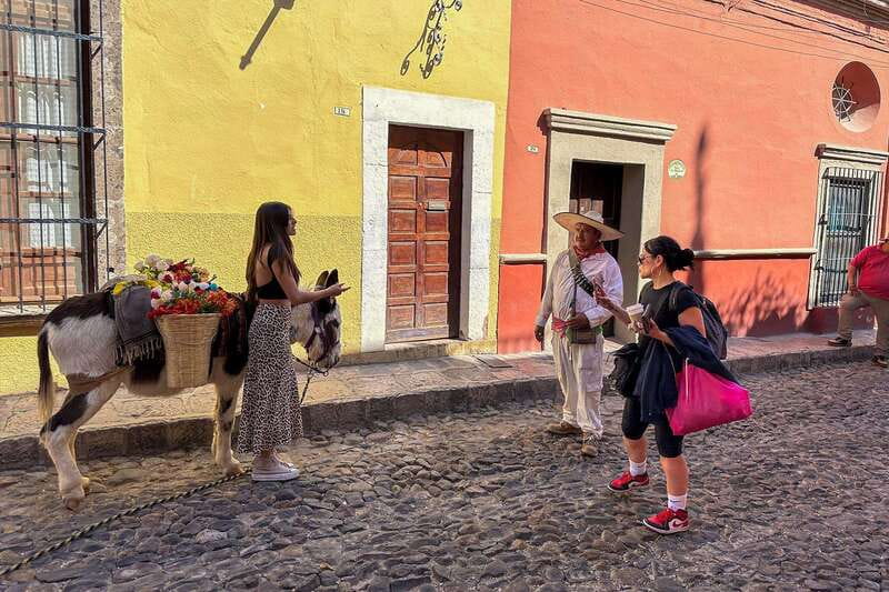 From Mexico City: San Miguel de Allende Day Trip - Why San Miguel makes a memorable day trip