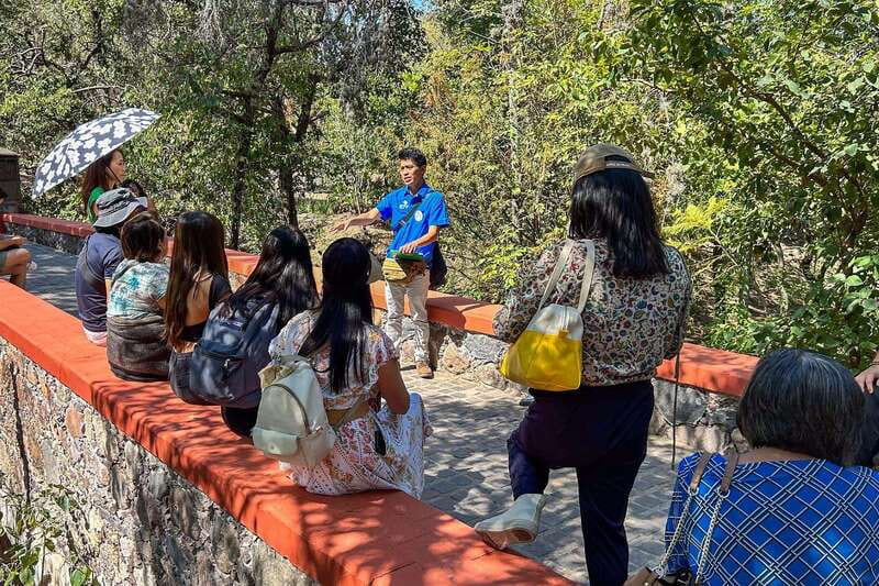 From Mexico City: San Miguel de Allende Day Trip - What the guides add to the day