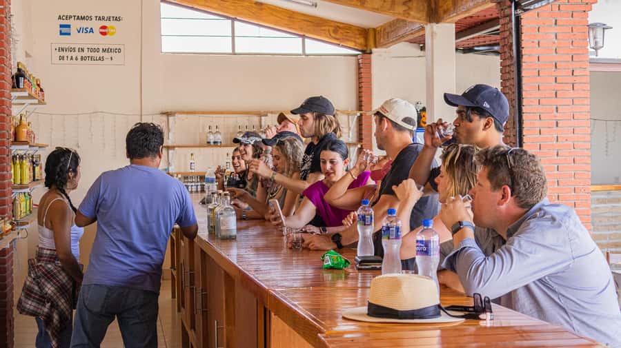 From Oaxaca de Juarez: Hierve el Agua and Mezcal Distillery - Who should book this Oaxaca day trip?