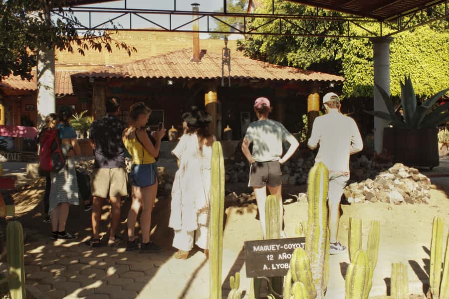 From Oaxaca de Juarez: Hierve el Agua and Mezcal Distillery - Getting to the site from central Oaxaca