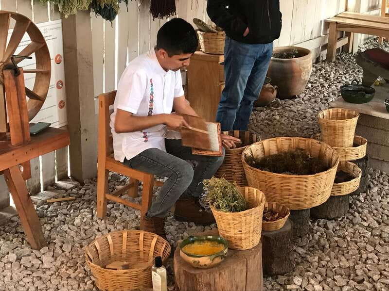 From Oaxaca: Hierve el Agua and Teotitlán del Valle - Guides, comfort, and physical demands