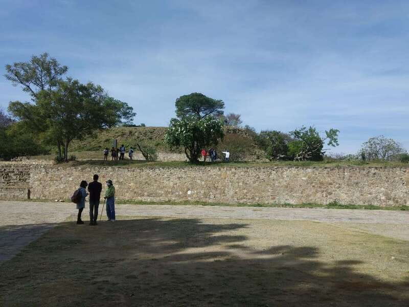 From Oaxaca: Monte Alban, Alebrijes & Black Clay Day Trip - Who will enjoy this Oaxaca day trip
