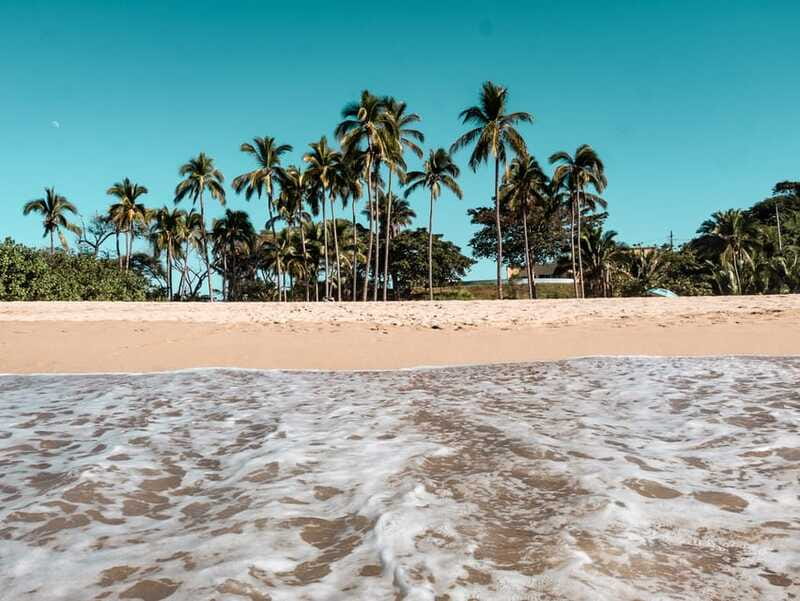 From Puerto Vallarta: San Pancho and Sayulita - Guides can shape the whole experience