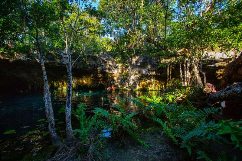 From Riviera Maya: 3 Cenotes Adventure Tour with Lunch - What the guide and driver add to the day
