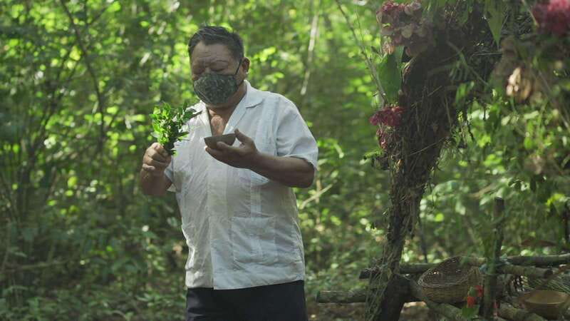 From Riviera Maya: Coba, Punta Laguna & Cenote Guided Trip - Lunch in Nuevo Durango with a Mayan family